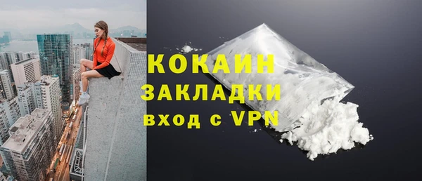мдпв Горнозаводск