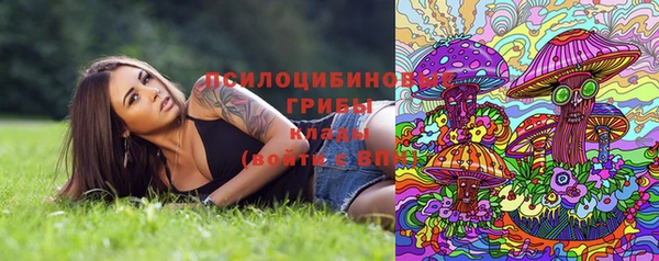 мдпв Горнозаводск