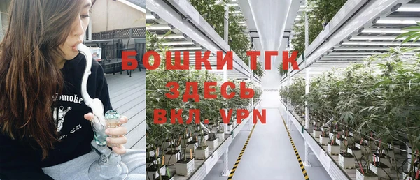 прущий лед Горняк