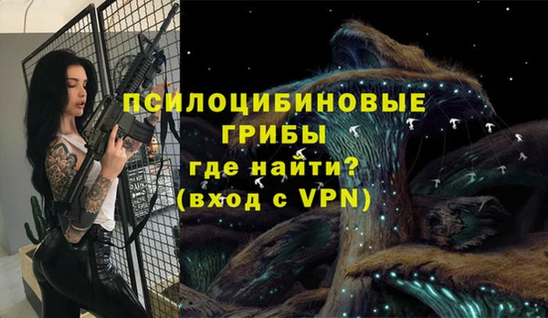 мдпв Горнозаводск