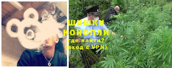 мдпв Горнозаводск