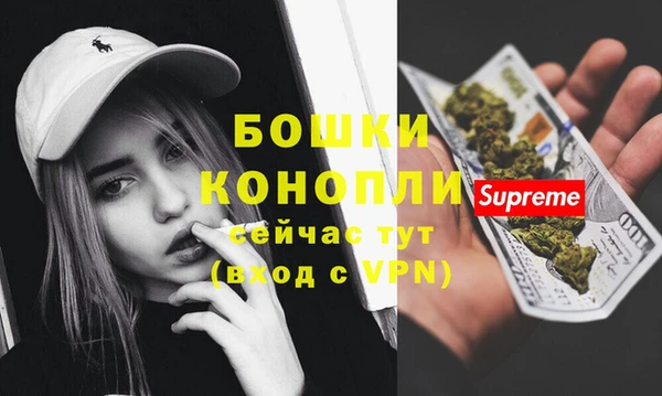 мдпв Горнозаводск