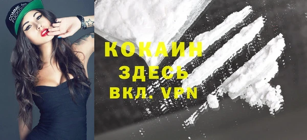 прущий лед Горняк