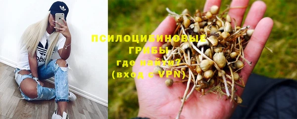 альфа пвп Горно-Алтайск