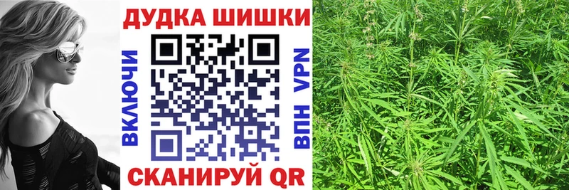 Конопля семена  купить наркоту  Альметьевск 
